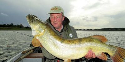 33lb Pike Neil Bridges 500.jpg